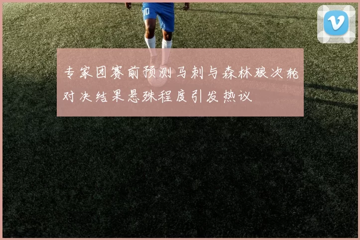 专家团赛前预测马刺与森林狼次轮对决结果悬殊程度引发热议